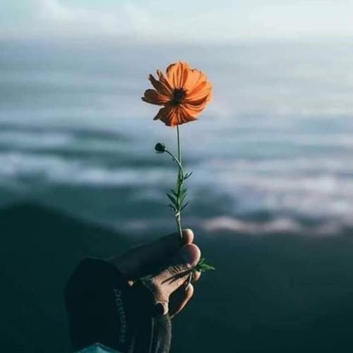 สมาชิกหมายเลข 5898063