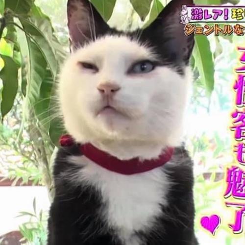 สมาชิกหมายเลข 6498358