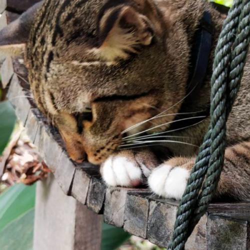 สมาชิกหมายเลข 2507633