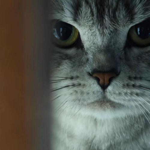 สมาชิกหมายเลข 5858122