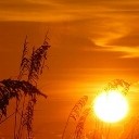 สมาชิกหมายเลข 3742962