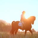 สมาชิกหมายเลข 3926660