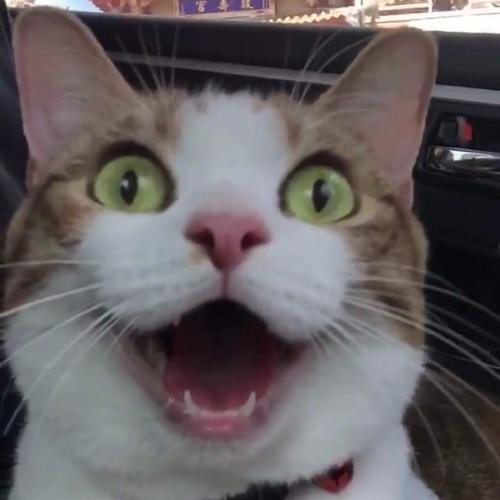 ยืนยิ้มที่ริมกำแพง