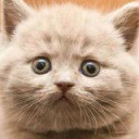 สมาชิกหมายเลข 4640931