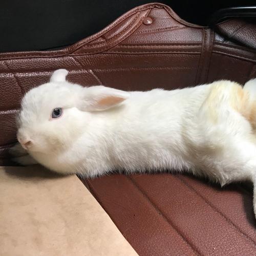 สมาชิกหมายเลข 821935