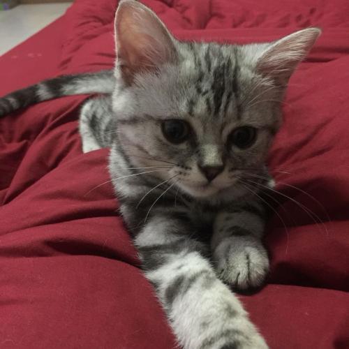 สมาชิกหมายเลข 3351147