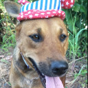 สมาชิกหมายเลข 5001344