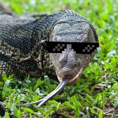 สมาชิกหมายเลข 1986002