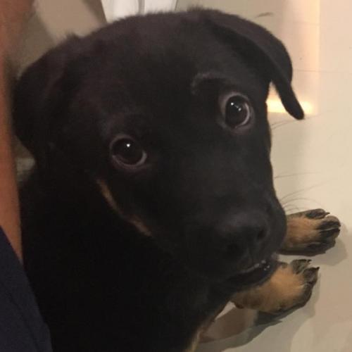 สมาชิกหมายเลข 2076832