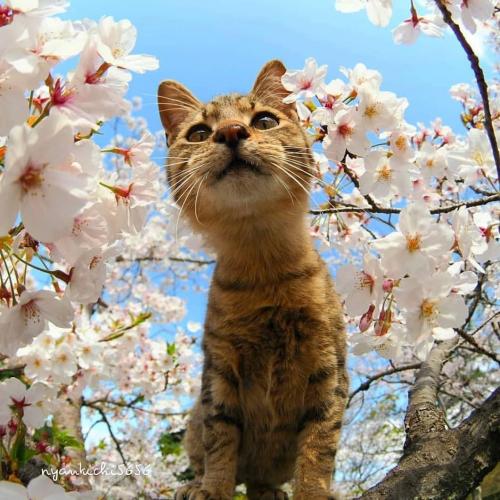 สมาชิกหมายเลข 3774519