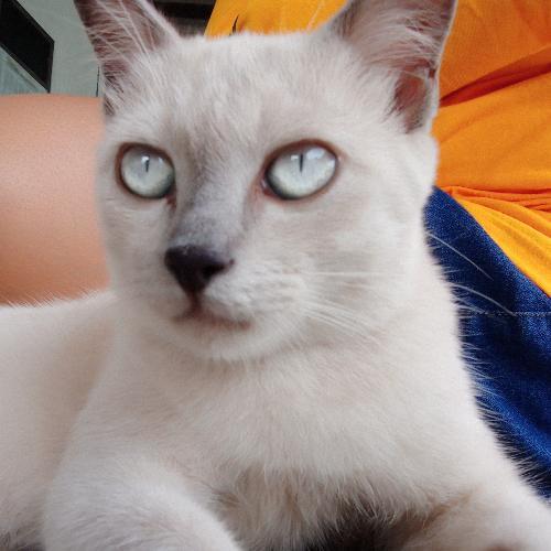 สมาชิกหมายเลข 4325055