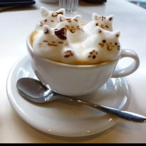 สมาชิกหมายเลข 3165235