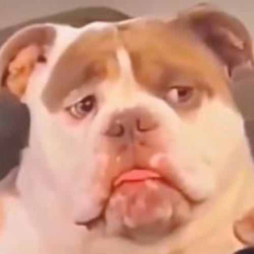 สมาชิกหมายเลข 4594506