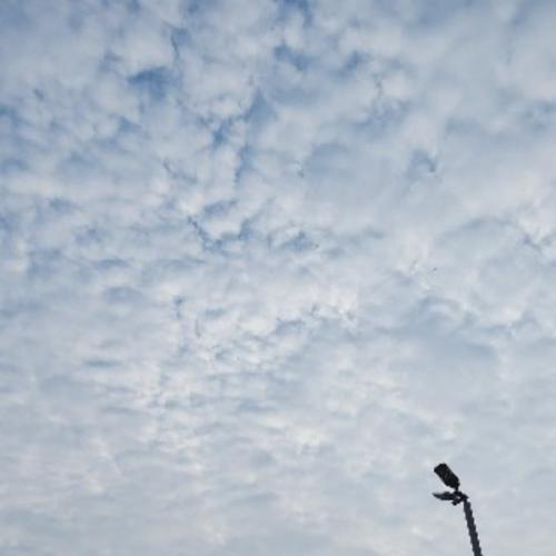 สมาชิกหมายเลข 5339207