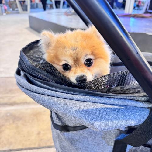 สมาชิกหมายเลข 7689484