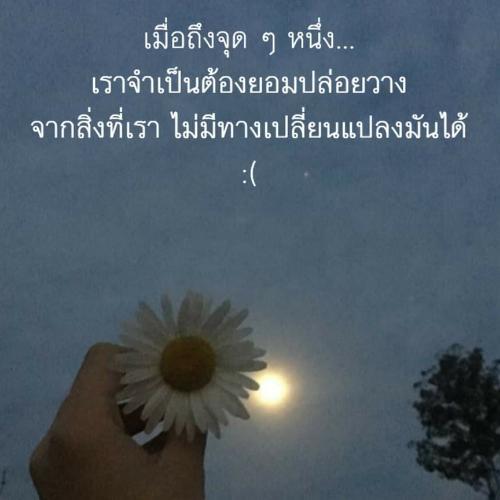 สมาชิกหมายเลข 8017388