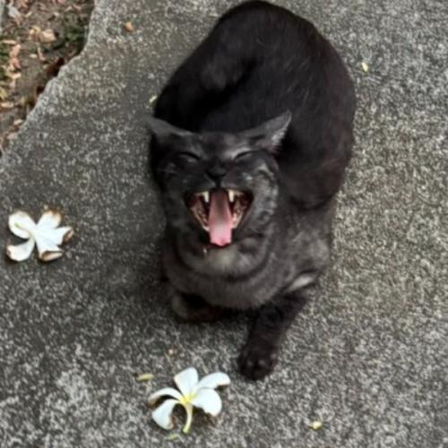 สมาชิกหมายเลข 759248