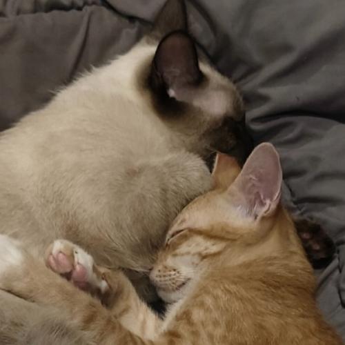 สมาชิกหมายเลข 8941233