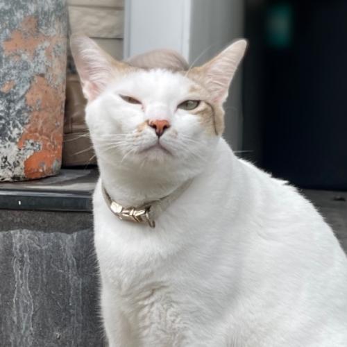 สมาชิกหมายเลข 9043825