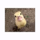 สมาชิกหมายเลข 3531507