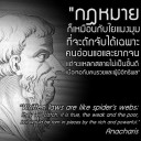 ผู้ชายถ่ายภาพ