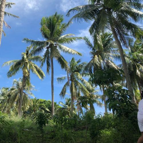 สมาชิกหมายเลข 5062937