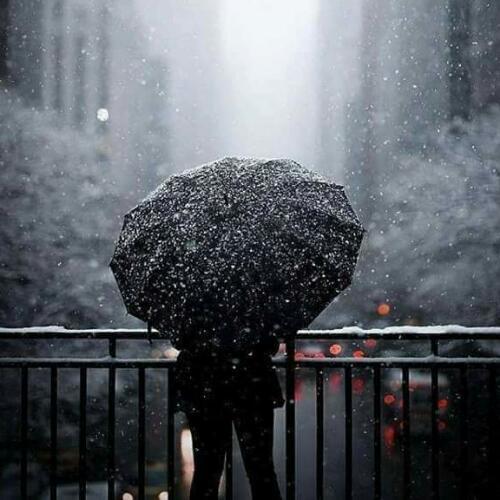 สมาชิกหมายเลข 5268028