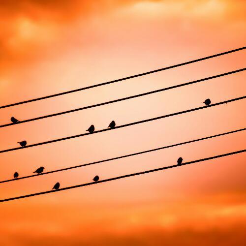 สมาชิกหมายเลข 5396134