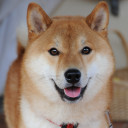 สมาชิกหมายเลข 5396185