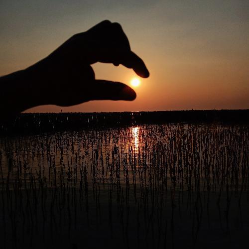 สมาชิกหมายเลข 5396293