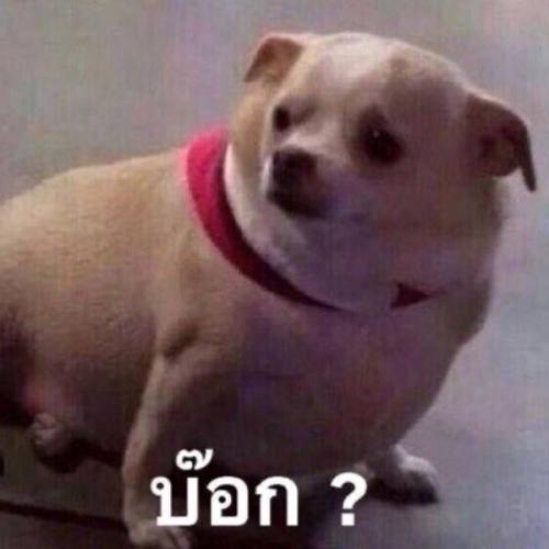 สมาชิกหมายเลข 4686031