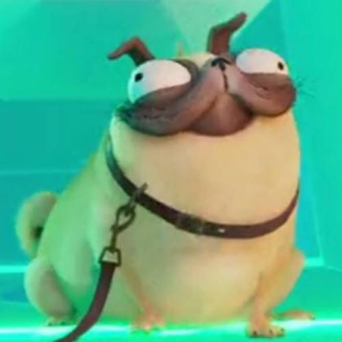 สมาชิกหมายเลข 6500958