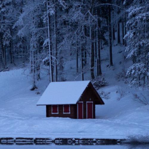 แซลมอนย่าง