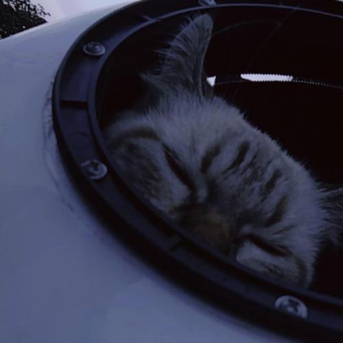 สมาชิกหมายเลข 8018273