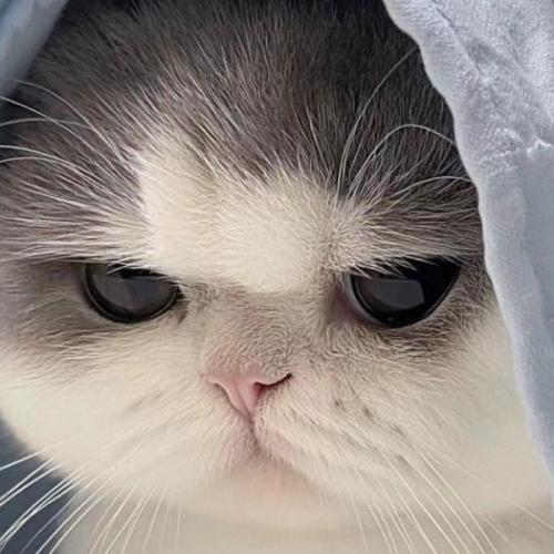 สมาชิกหมายเลข 9044914