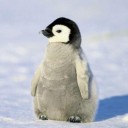 สมาชิกหมายเลข 3791408