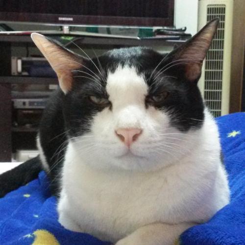 สมาชิกหมายเลข 1196832