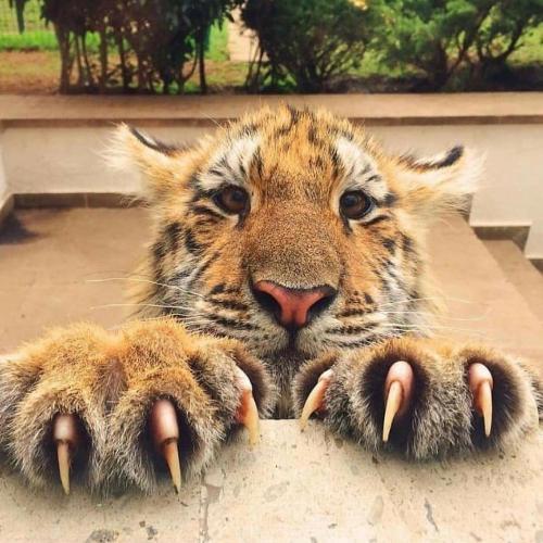 สมาชิกหมายเลข 4641613