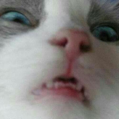 สมาชิกหมายเลข 4641663