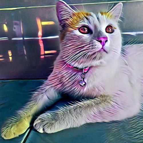 สมาชิกหมายเลข 2761196