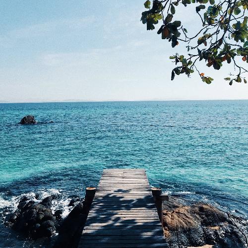 สมาชิกหมายเลข 5002403