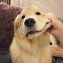 สมาชิกหมายเลข 5002536