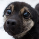 สมาชิกหมายเลข 3556307