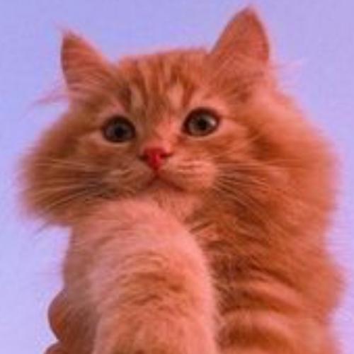 สมาชิกหมายเลข 4195021