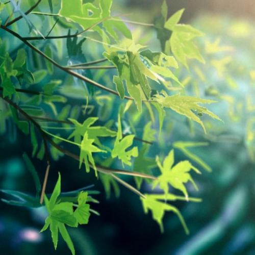 สมาชิกหมายเลข 4669386