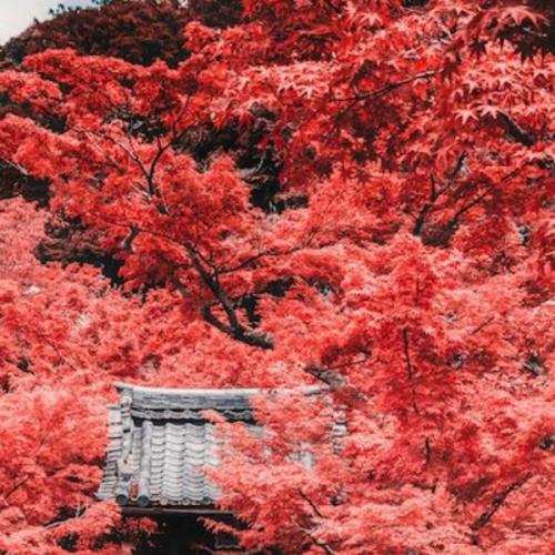 สมาชิกหมายเลข 6484517