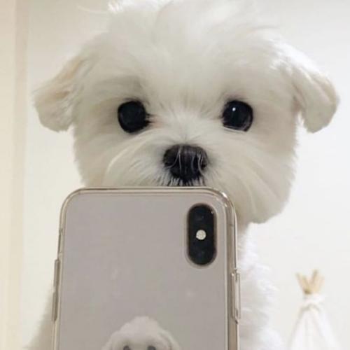 สมาชิกหมายเลข 6501203