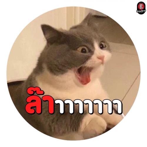 สมาชิกหมายเลข 2432271