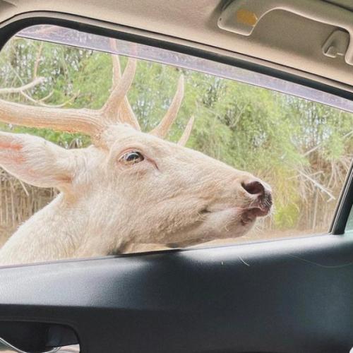 สมาชิกหมายเลข 3776417