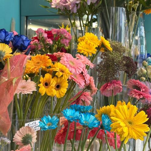 สมาชิกหมายเลข 1600605